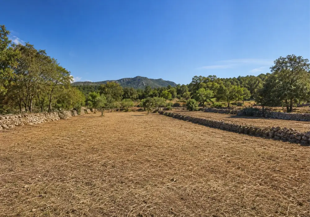 Finca limpia Mallorca
