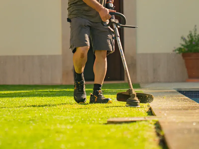 Césped natural cuidado por Garden Solution en Mallorca