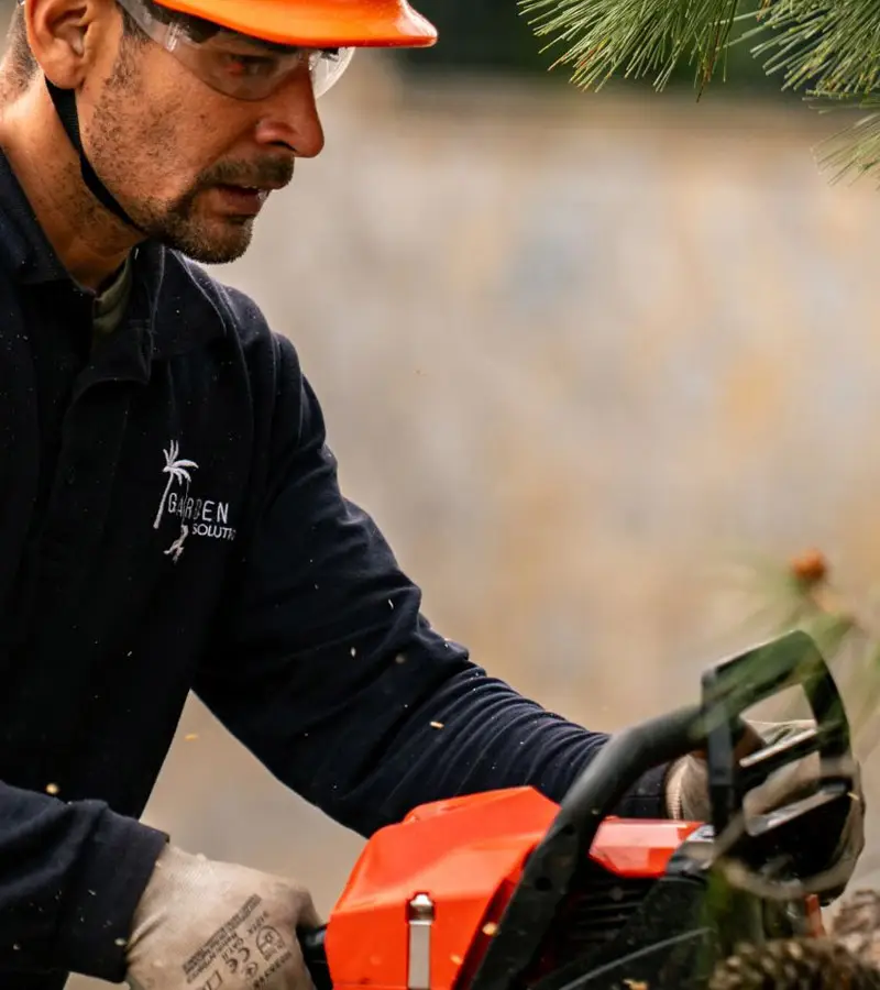 Mantenimiento de jardines en comunidad de vecinos en Mallorca