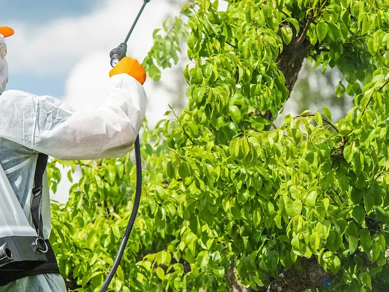 Controles fitosanitarios de Garden Solution en Mallorca