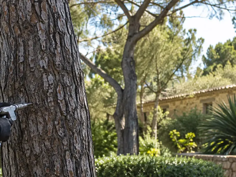 Tratamiento de endoterapia vegetal de Garden Solution en Mallorca