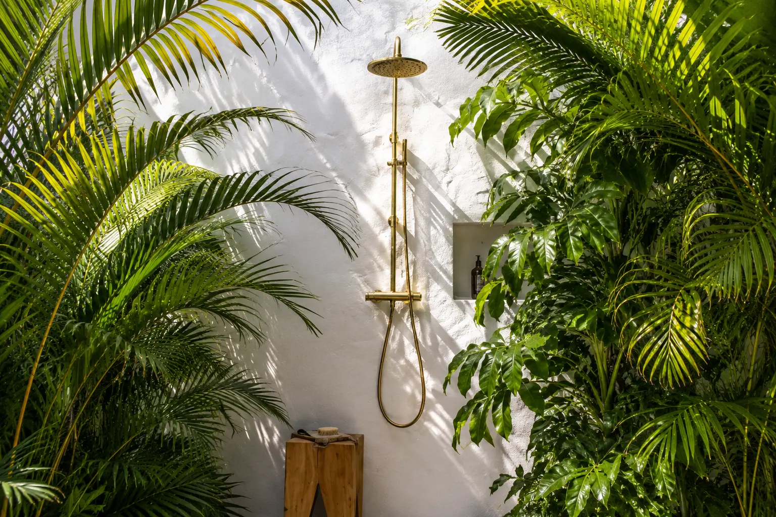 Mantenimiento premium de jardín en Palma