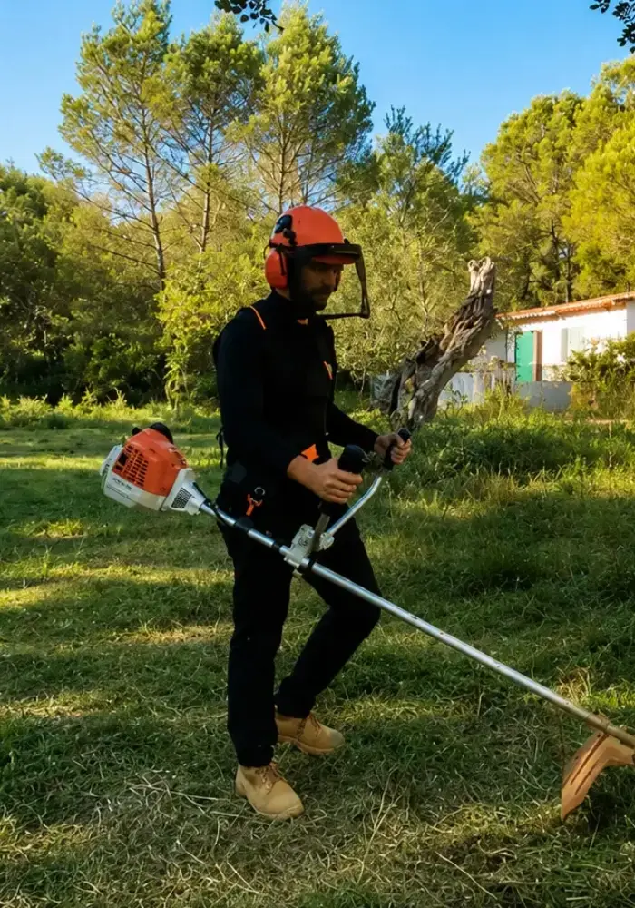 Desbroce y limpieza de finca en Llucmajor, Mallorca