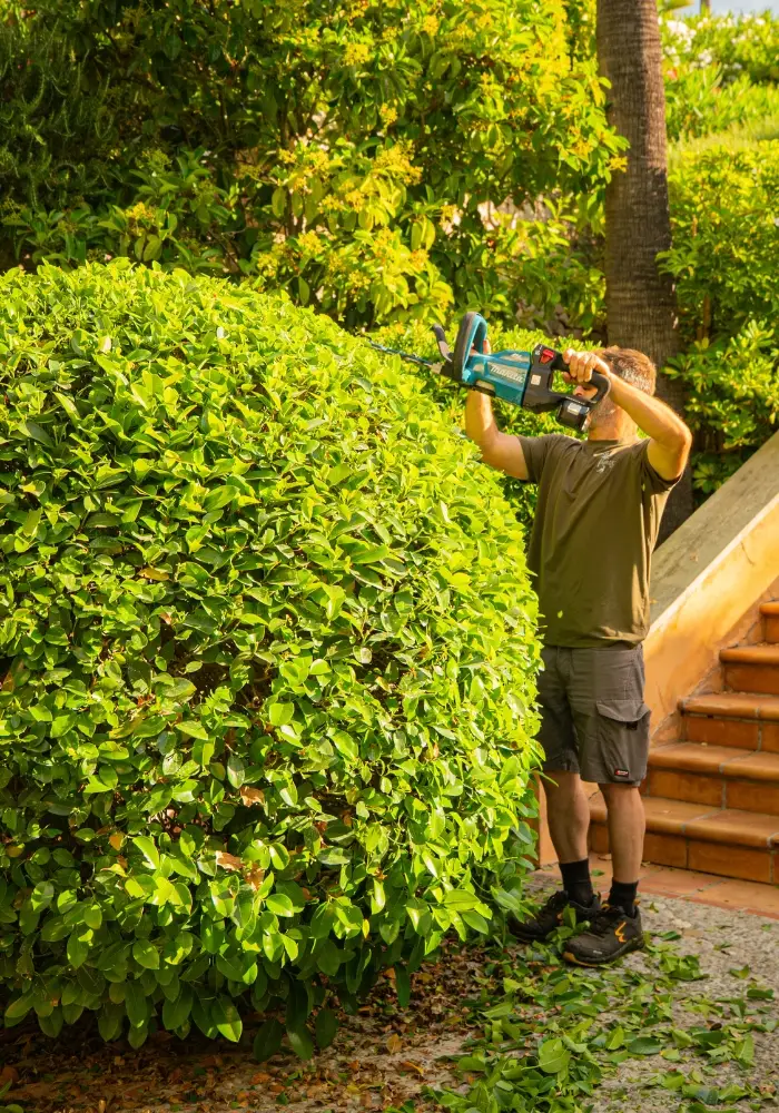 Jardinero profesional en Palma de Mallorca — Garden Solution