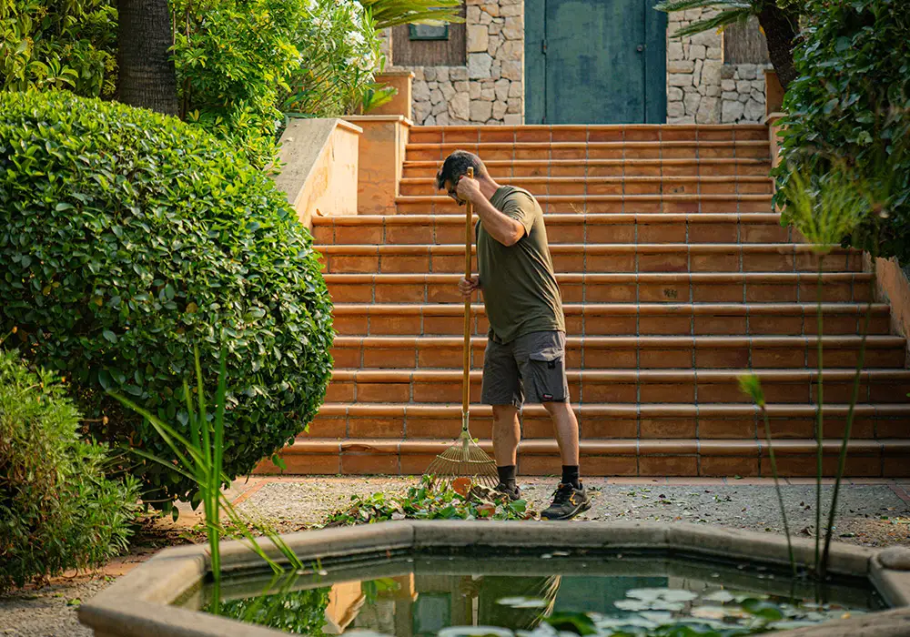 Mantenimiento de jardín en Mallorca — trabajo realizado por Garden Solution (1)