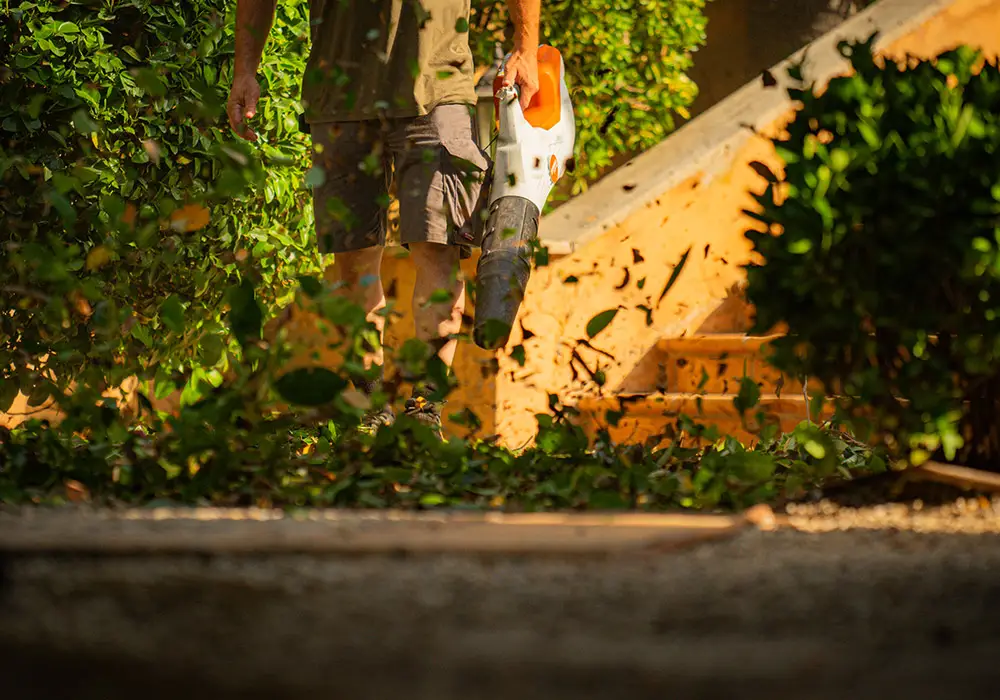 Mantenimiento de jardín en Mallorca — trabajo realizado por Garden Solution (2)