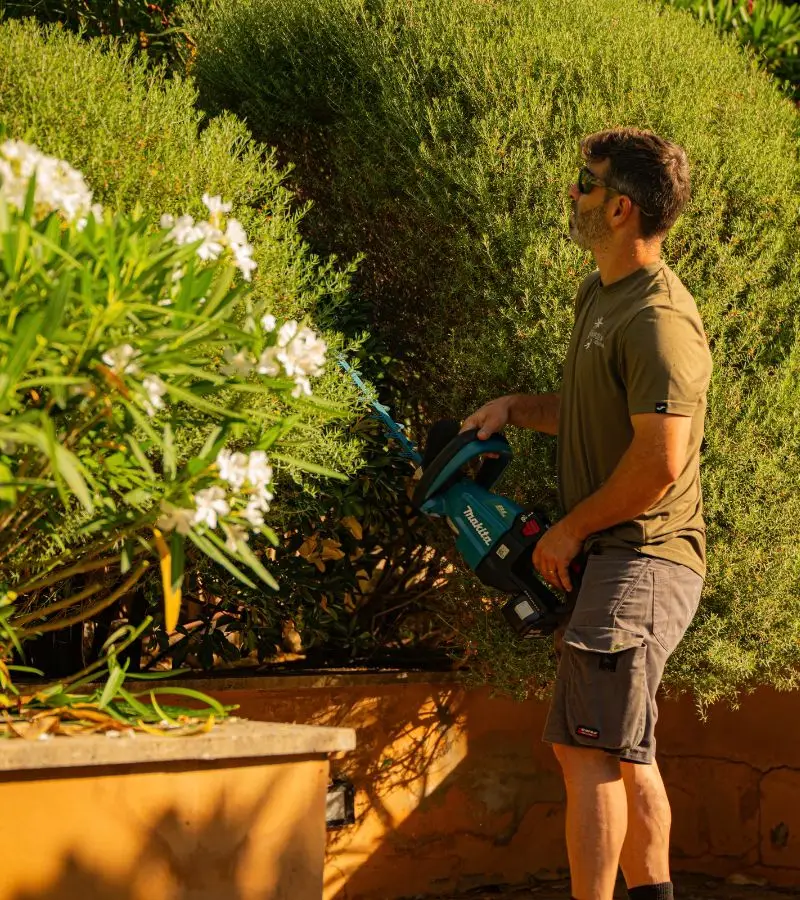 Jardinería premium en villa de Andratx, Mallorca — Garden Solution
